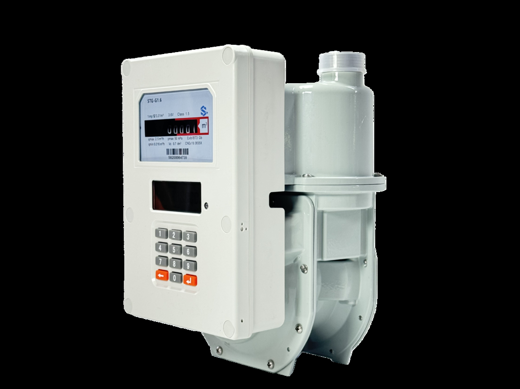 GAS METER Factory Input Fuel Consumption Measurement Device The Ultimate Solution for Fuel Management
