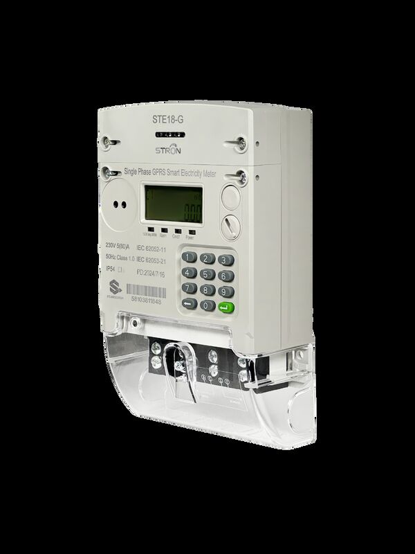 Industrial/Residential STS Smart Meter - Modular Design, Cover Opening Detection & Seamless Third-Party Platform Integration Remote Monitoring & Multi-Tariff Keypad Type