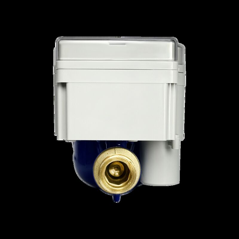 مصنع سترونسمارت مباشر R100 STS عداد مياه مسبق الدفع ذكي، هيكل من الفولاذ المقاوم للصدأ، مدمج