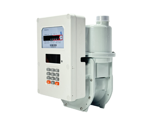 Smart Gas Meter digital meter providing continuous gas flow monitoring and integration with enterprise resource systems